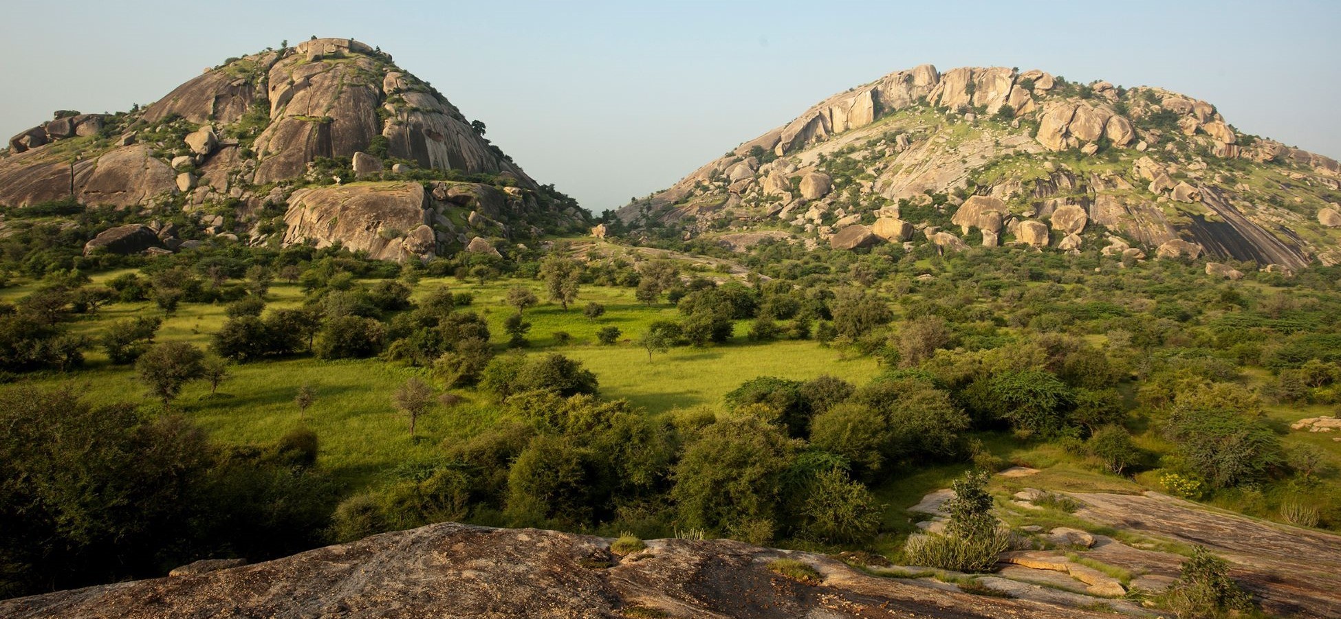 about jawai