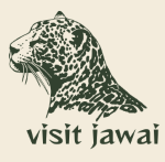 leopard safari in jawai
